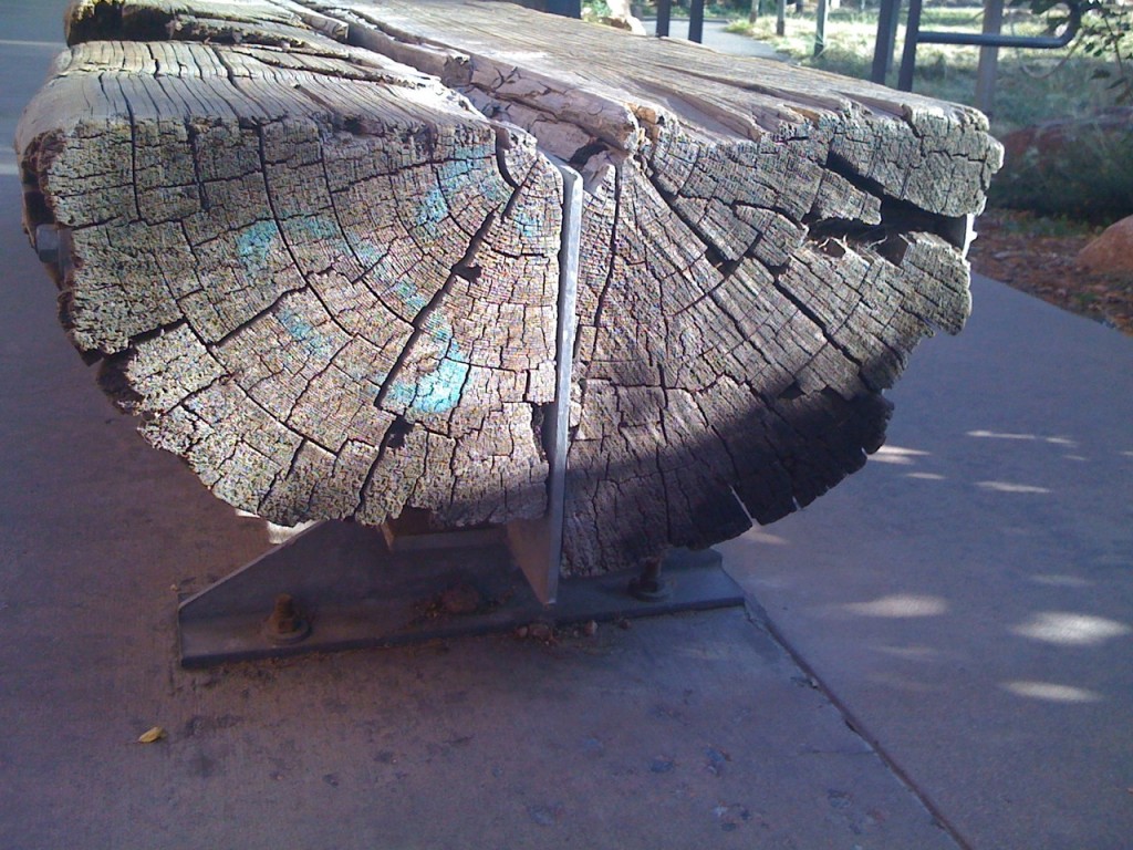 detail on bench