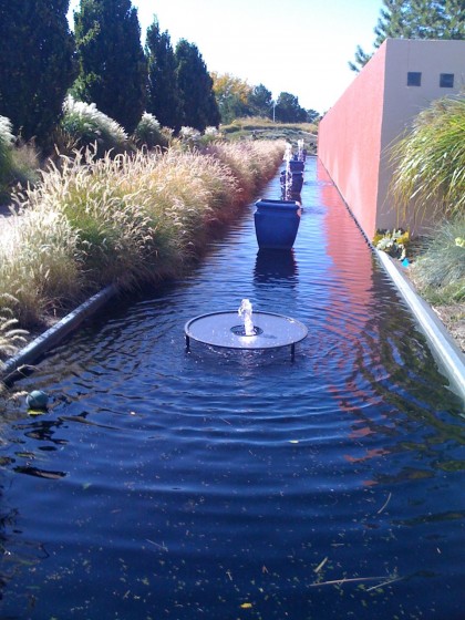 shot at Denver Botanic Gardens