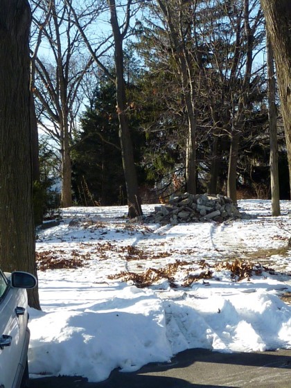 rocky menace jr. in the neighbor's yard