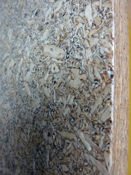 closeup of sunflower seed MDF