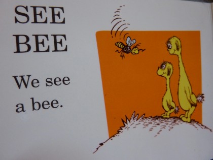 we see a bee | from hop on pop