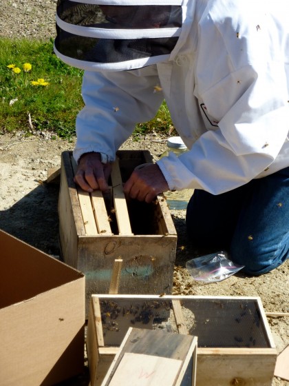 moving the queen’s box