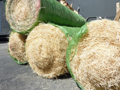 curlex rolls curlex rolls