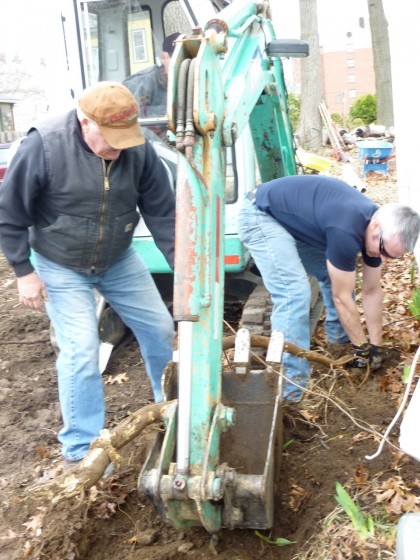 digging up a cantankerous root