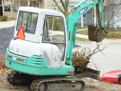 tree stump gets dug up