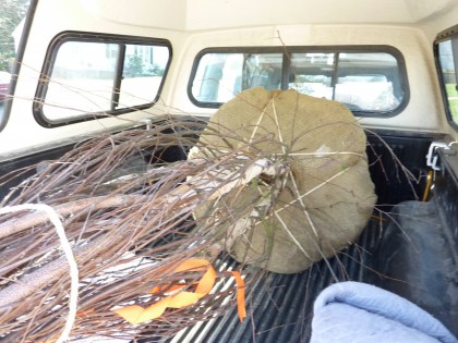 tree arrives tree arrives