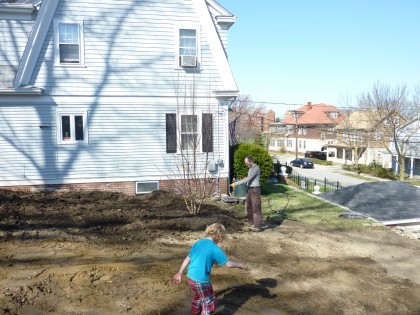 tree planted tree planted