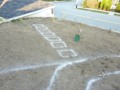 stepping stones in the far corner bed