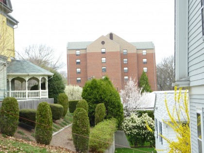 springtime view of neighboring yards