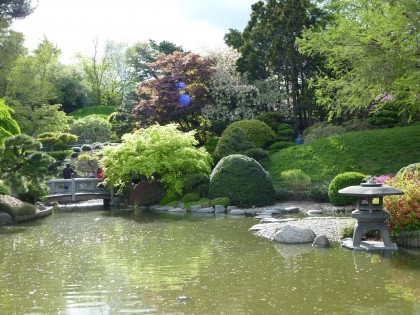 japanese garden