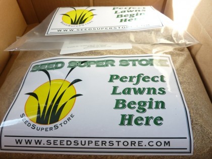 seed is here