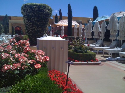 poolside at the Wynn