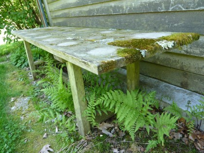 mossy bench