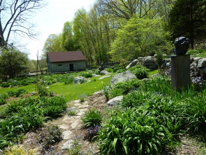 the daylily garden