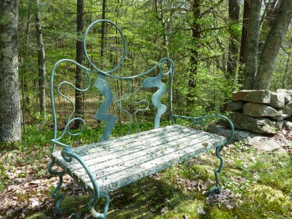 forest bench