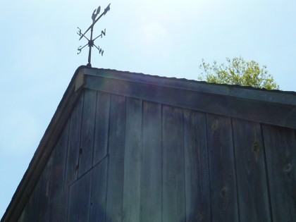 weathervane on the sheep barn