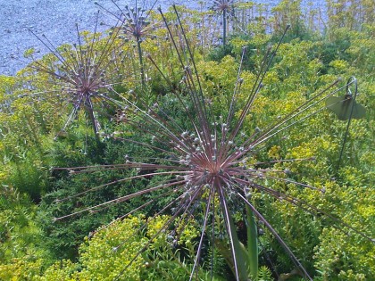 sputnik flowers!