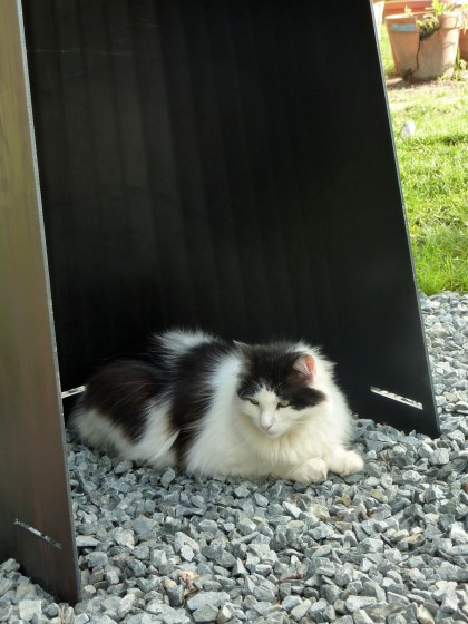 and it’s also a cat cave! and it’s also a cat cave!
