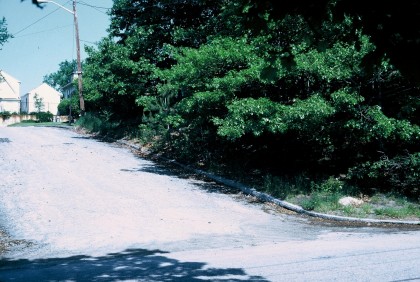 view of the corner, before the house was built