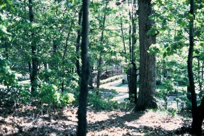 view from the lot down to the street