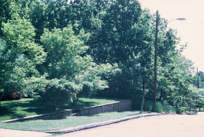 view of the future veggie garden