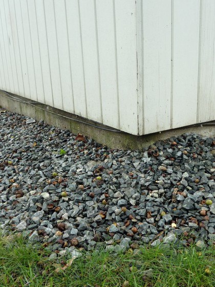 buffer around house needs edging and beach pebbles