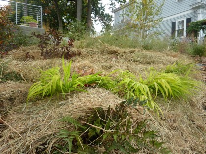 bales as mulch