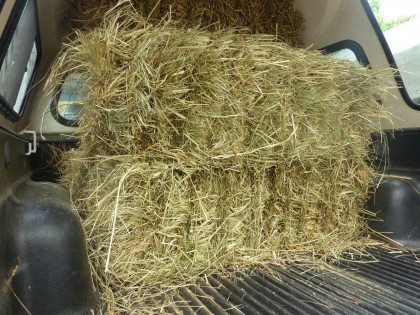 bales in the truck