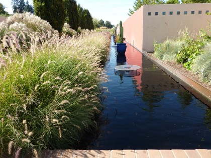 water feature with pennisetums