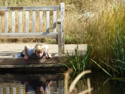 bix at water garden