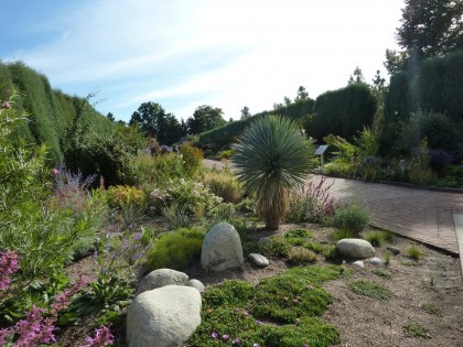 ponderosa border at entry