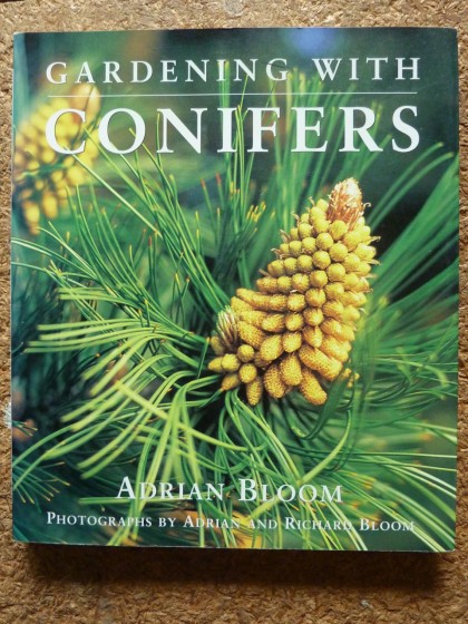 gardening with conifers