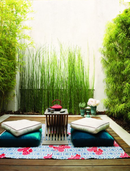 equisetum hymale | silive.com: “Tiny patios are big on setting the mood”