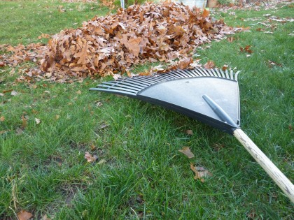 rake leaves into a pile