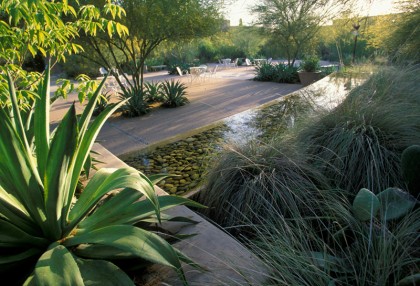 desert botanic garden pool by ten eyck landscape architects | teneyeckla.com