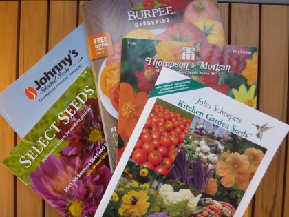 spring seed catalogs