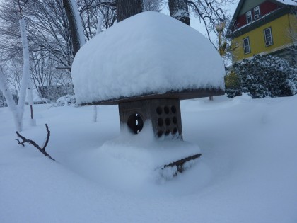 snow-capped lantern