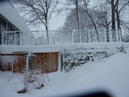 icy railing