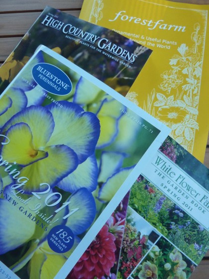 spring plant catalogs