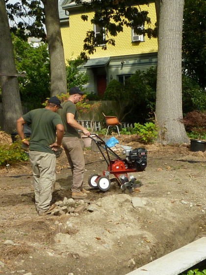 rototilling the lawn area