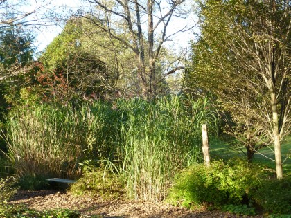 brine garden bench in giganteus