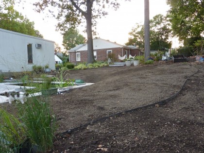 steel edging border the lawn