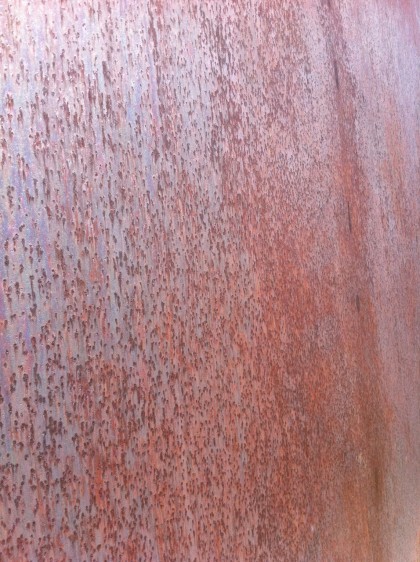 storm king | corten steel closeup