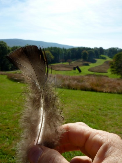 storm king | kadishman corten sculpture with feather