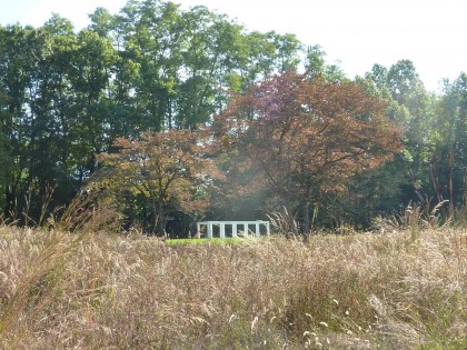 storm king | five modular units by sol lewitt, ’71