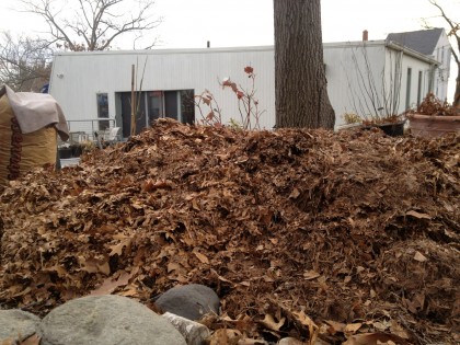 shreddingpile shreddingpile