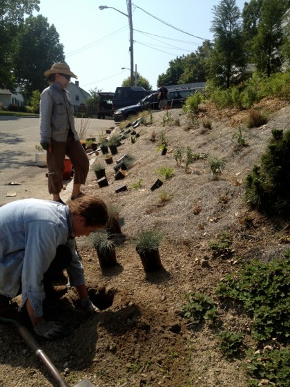 shiva and natasha help out in may