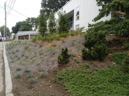 front hill, view 2 front hill, view 2