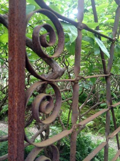 step through the garden gate