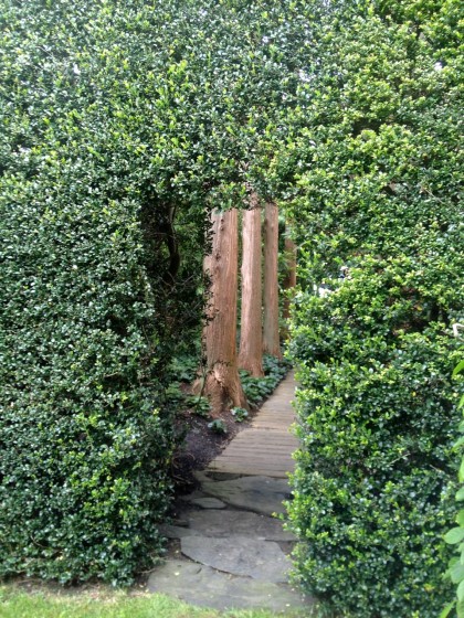 take a peek through the hedge